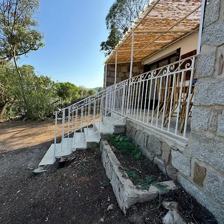 Casa Pinarello Zonza